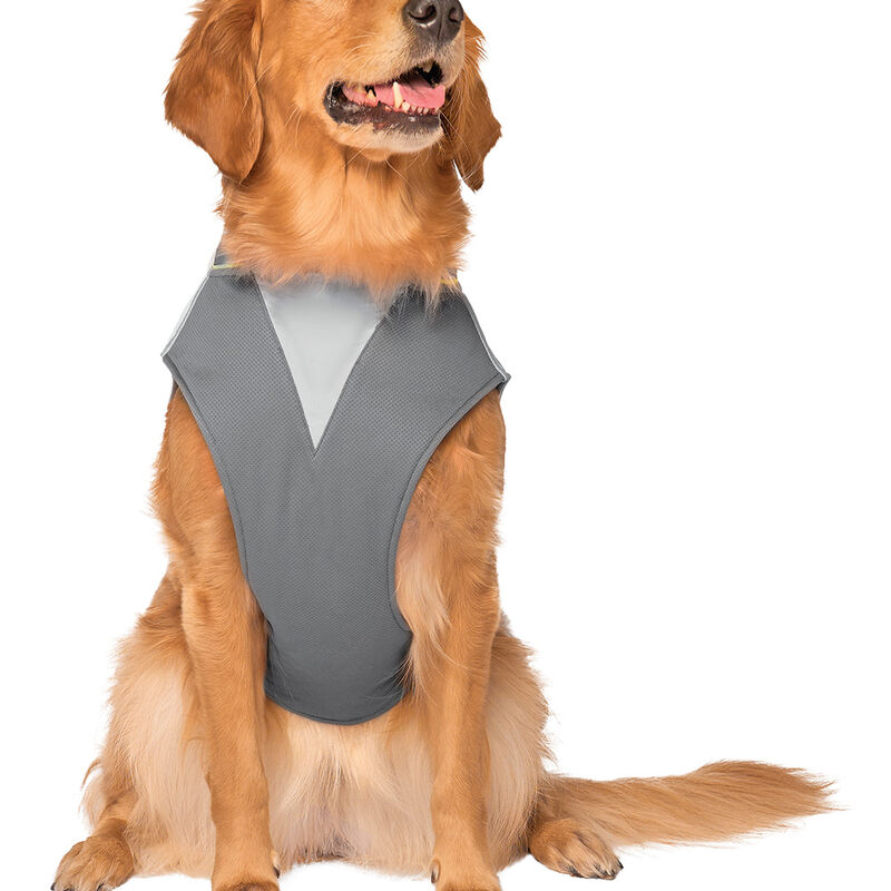 Canada Pooch, Max Chill Cooling Vest Grey image number null